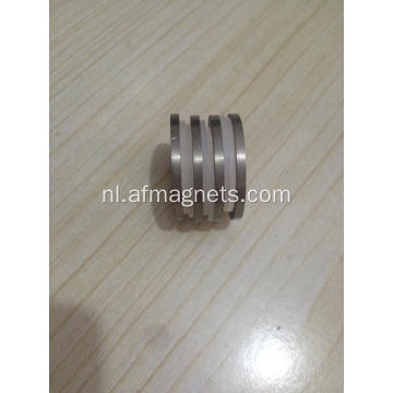 Alnico 5 ringmagneten